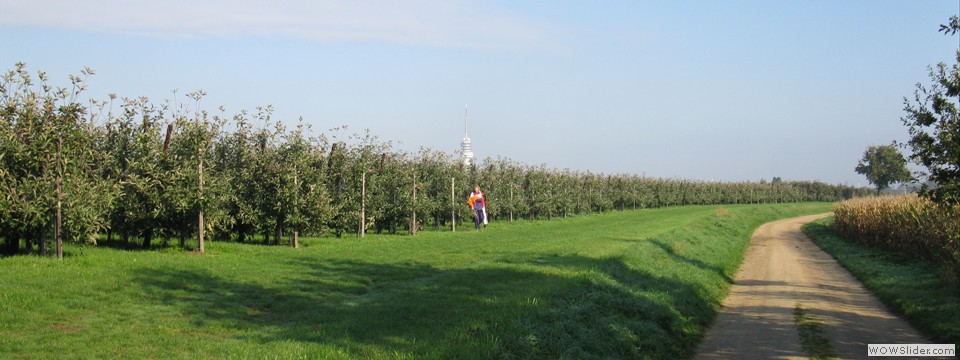 7 Veldweg met TVtoren