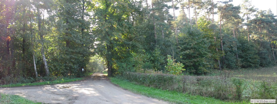 9 bossen voor St Odiliënberg